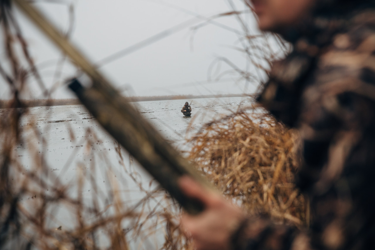 DuckHunting_047